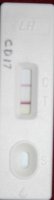 OPK 005.jpg