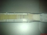 DSC00041.JPG