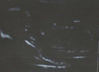 SCAN0001.JPG