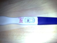 12022008176.jpg
