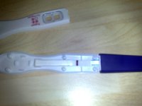 12022008177.jpg