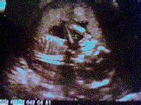 Picture 23.jpg