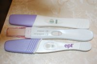 pregnancy test results 2-18-08 004.jpg
