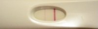 opk5-01pm.jpg