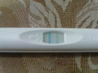 opk.JPG