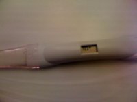 photo.jpg