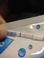 wondfo.jpg