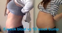 6 week vs 16 week.jpg