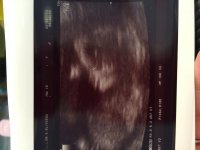 IMG_7326[1].jpg