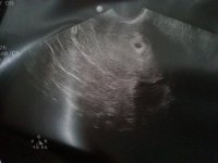 scan2.jpg