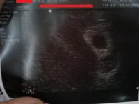 scan4.jpg
