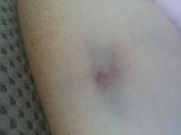 20140605_151417.jpg