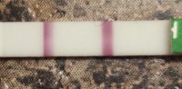 20140607_175532.jpg