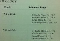 FSH and LH Test.jpg