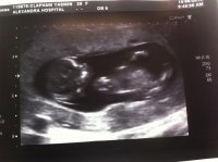 Baby Baylis 12wks 4days.jpg