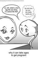 preg image.png