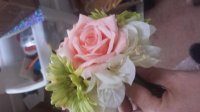 lily's posy.jpg