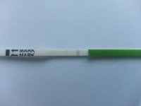opk2206.jpg