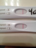 4dp5dt.jpg