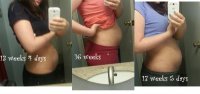 13 weeks to 17 weeks 5 days.jpg