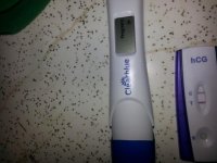 24dpo.jpg