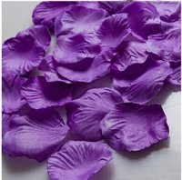 petals.jpg