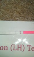 IMAG0827.jpg
