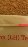 IMAG0828.jpg
