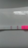 IMAG0834.jpg