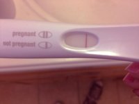 maybepreg1.jpg