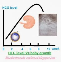 chart of beta hcg levels vs baby growth.jpg