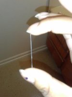 CAM00632.jpg