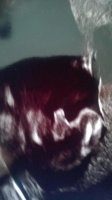 Baby 2.jpg