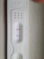 photo.jpg