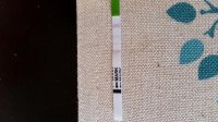 20140820_164929.jpg