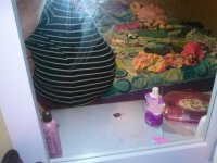 34 weeks.jpg