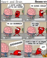 everyday.jpg