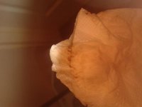 20140820_164831.jpg