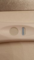 BFP #2?.jpeg