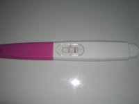 IMG074.jpg