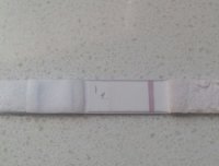 10dpo.jpg