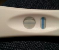 11dpo.jpg