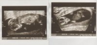 Baby McConkey Sept 23 2014 002.jpg