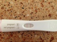 frer.jpg