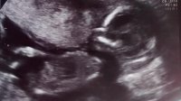 scan cropped.jpg