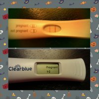 Sept. 3 2014 cycle BFP 14 dpo-2.jpg