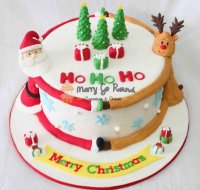 Xmas+cake+20cm.jpg