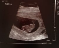 9scan_2.jpg
