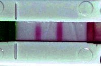 feb 4th 3-44am opk.jpg