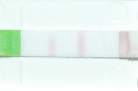 opk 3-44am 2-4-2010.jpg